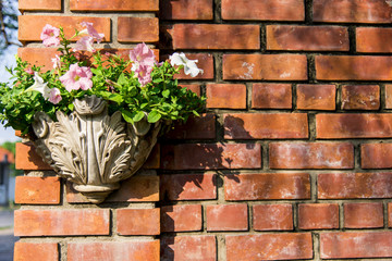 Fototapeta na wymiar Flower in vase which on the wall2