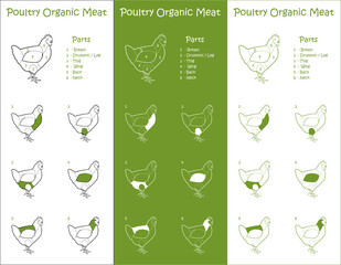 Organic chicken meat parts Icons for packaging and infographic 3