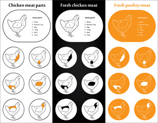 Chicken meat parts Icons for packaging and infographic 2