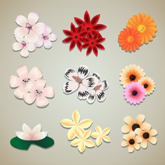 Flower Icons Set - Isolated On Gray Background
