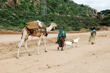 Harari women (Ethiopia)