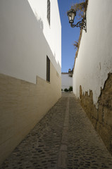 Alley in Ronda, Spain © monysasi