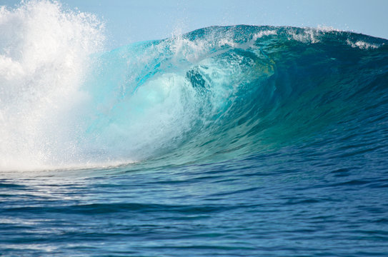 Pacific big wave © iPics