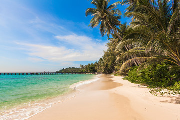 tropical beach.  Beach on Ko Kood
