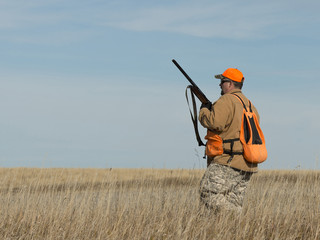 Pheasant Hunter