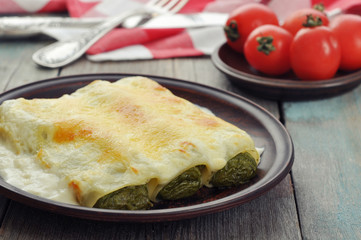 Italian cannelloni
