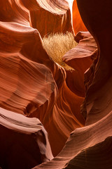 Lower Antelope Canyon Detail