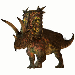 Fototapeta premium Pentaceratops on White