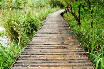 Wooden path in the park