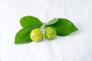 green cherry