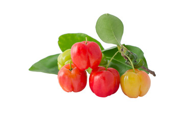 group of cherries