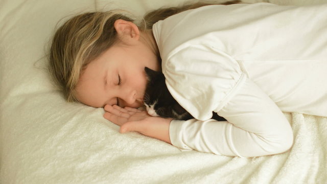 Little girl hugging kitten sleeps
