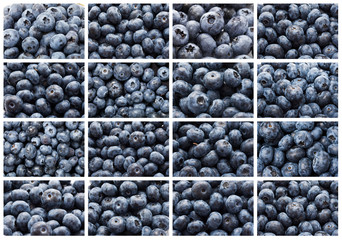 Blueberries