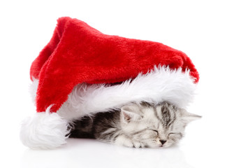 sleeping scottish kitten with santa hat. isolated on white 