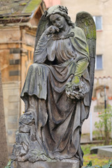 Obraz premium The Angel from the old Prague Cemetery, Czech Republic