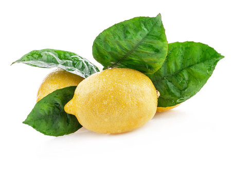 Fresh lemon with leaves, Isolated on white background