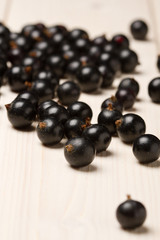 Berry of blackcurrant