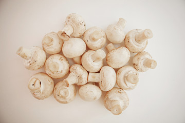 Mushroom.