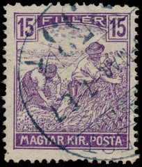 HUNGARY - CIRCA 1916: A stamp printed in Hungary shows Harvestin