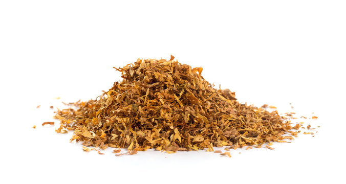 Bunch of tobacco isolated on white background