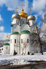 Fototapeta na wymiar Novodevichy Convent