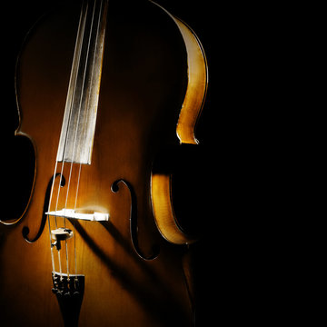 Cello orchestra musical instruments