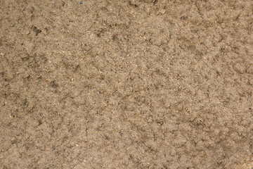 soil dirt texture with some fine grain in it