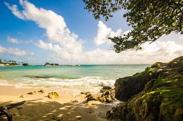 Lonely caribbean beach