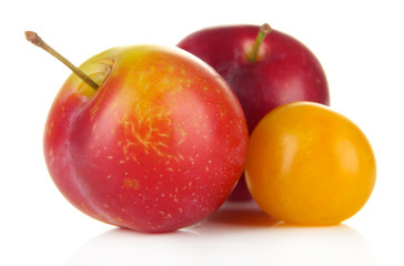 Ripe plums isolated on white