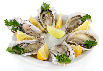 Oysters isolated on white