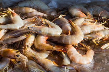 Fresh shrimp on ice
