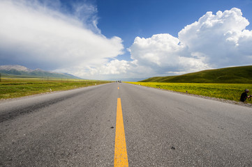 The colorful road with blue sky and cole flowers in Qinghai