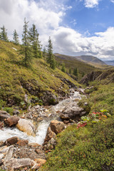 Mountain stream in East Sayan mountains.