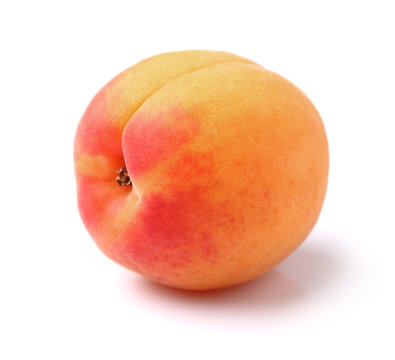 One apricot