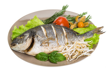 Grilled dorada