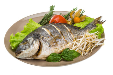 Grilled dorada