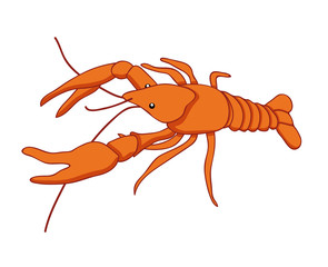 Lobster isolated illustration