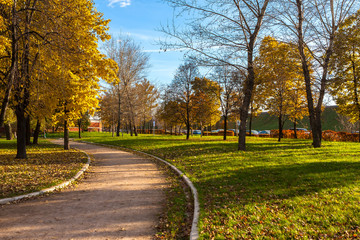 Fototapeta na wymiar Autumnal alley in the park, Moscow, Russia