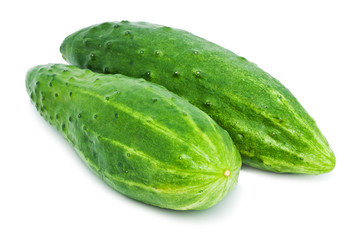 Fresh cucumber