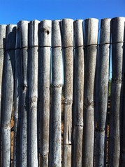 Fototapeta premium Cercado