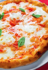 Margherita Pizza