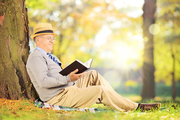 Senior gentleman sitting on a grass and reading a novel in park