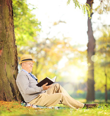 Senior man sitting on a grass and reading a book in park