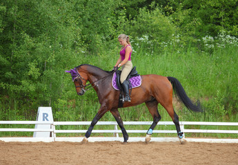 Female rider trains the horse in the riding course