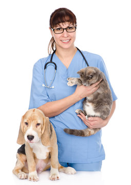 veterinarian with cat and dog. isolated on white background