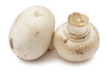 Champignon mushrooms