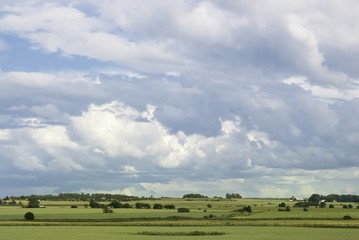 Fototapeta premium Swedish landscape