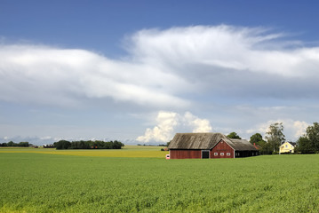 Fototapeta premium Swedish landscape
