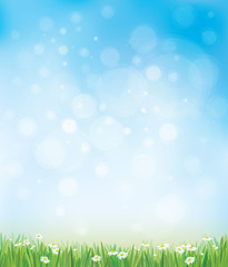 Vector sky background with grass and chamomiles.