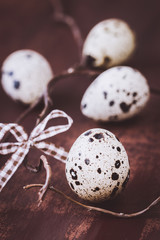 Easter background with quail eggs and little bow